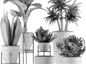 plants collection 37 3D 模型