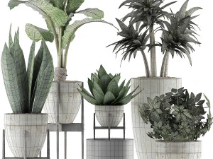 plants collection 37 3D Model