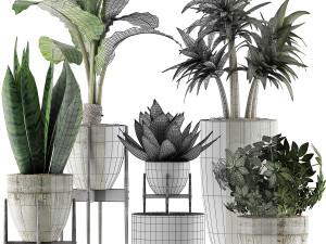 plants collection 37 3D 模型