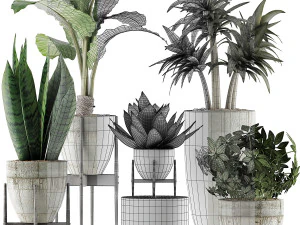 plants collection 37 3D Model