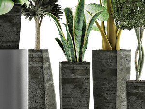 plants collection 38 Modèle 3D