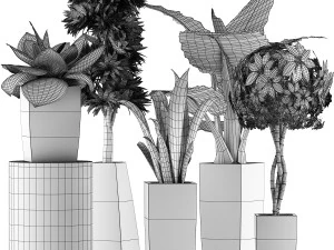 plants collection 38 3D Model