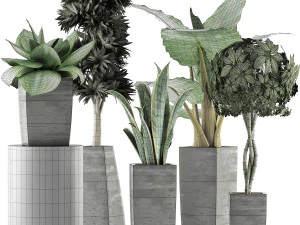plants collection 38 3D Model