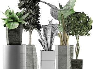 plants collection 38 Modèle 3D