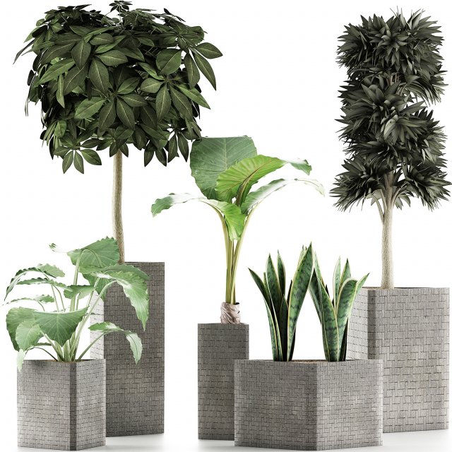 plants collection 39 3Dモデル .c4d .max .obj .3ds .fbx .stl .blend 