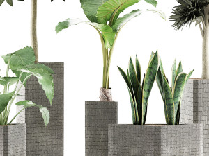 plants collection 39 3Dモデル