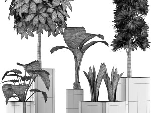 plants collection 39 3Dモデル