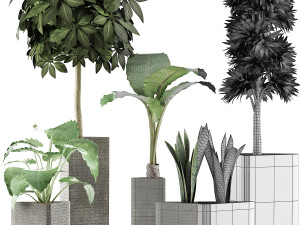 plants collection 39 3Dモデル