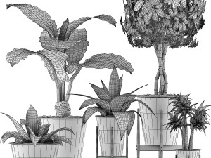 plants collection 40 Model 3D