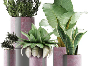 коллекция растений 41 3D Модель