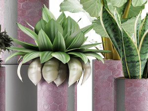 plants collection 41 Modelo 3D