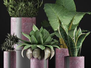 plants collection 41 Modelo 3D
