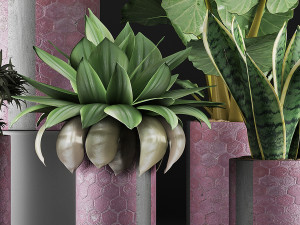 plants collection 41 Modelo 3D