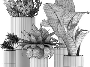 plants collection 41 Modelo 3D