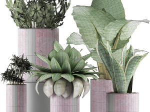 plants collection 41 Modelo 3D