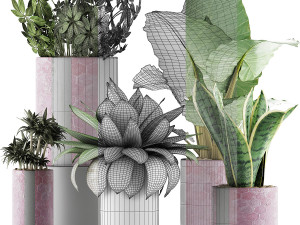 plants collection 41 Modelo 3D
