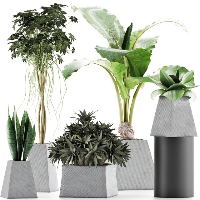 plants collection 42 Model 3D .c4d .max .obj .3ds .fbx .stl .blend 