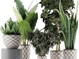 plants collection 43 Modelo 3D