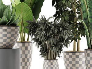 plants collection 43 Modèle 3D