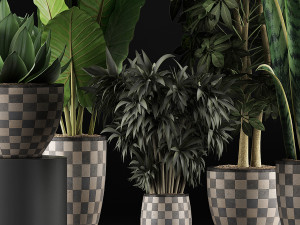 plants collection 43 Modèle 3D