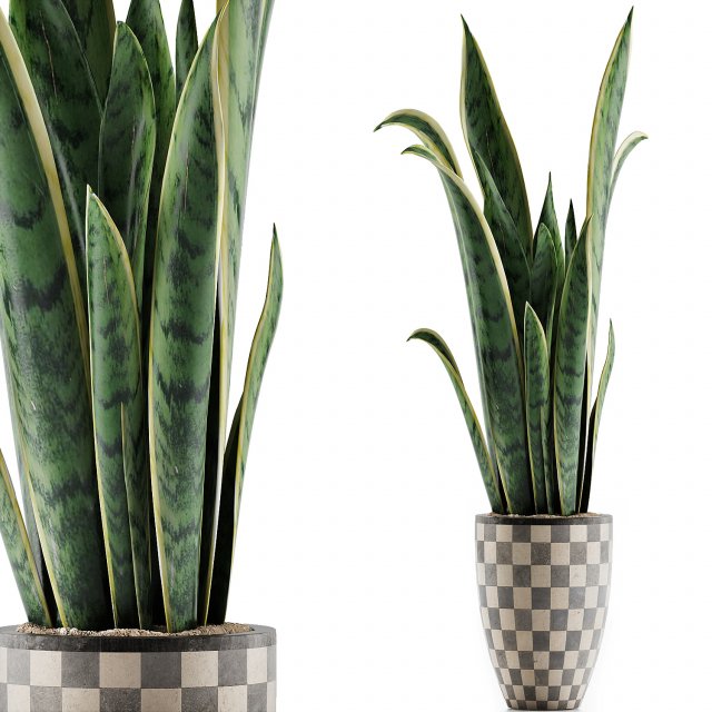plants collection 44 3D Model .c4d .max .obj .3ds .fbx .stl .blend 