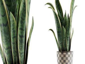 raccolta piante 44 Modello 3D