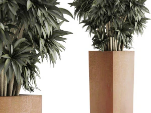 Pflanzensammlung 45 3D Modell