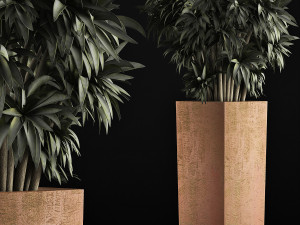plants collection 45 Modelo 3D