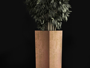 plants collection 45 Modelo 3D