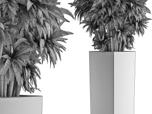 plants collection 45 Modelo 3D