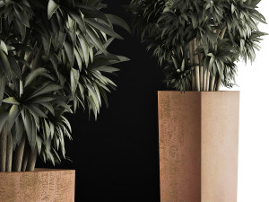 plants collection 45 Modelo 3D