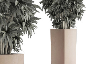plants collection 45 Modelo 3D