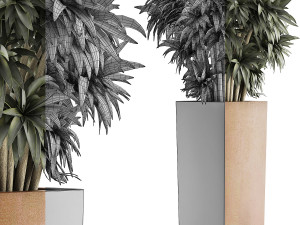 plants collection 45 Modelo 3D