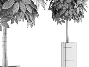 plants collection 46 3D 模型