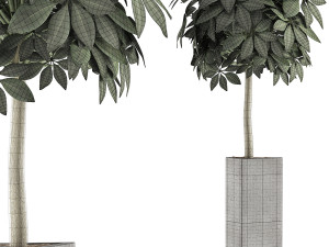 plants collection 46 3D 模型