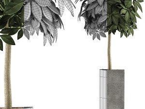 plants collection 46 3D 模型