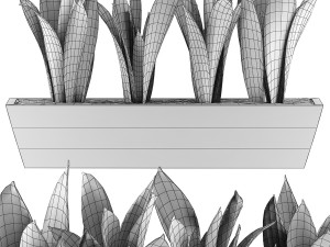 plants collection 47 Model 3D
