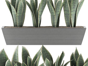 plants collection 47 Model 3D