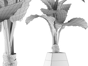 plants collection 48 3D Model