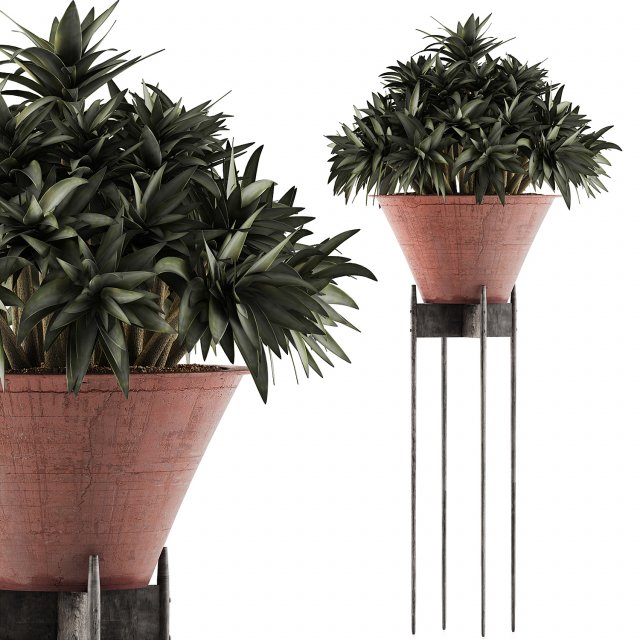 plants collection 49 3D Model .c4d .max .obj .3ds .fbx .stl .blend