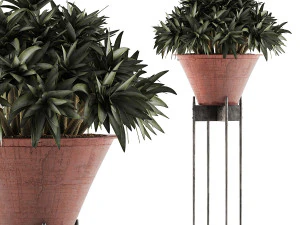 коллекция растений 49 3D Модель