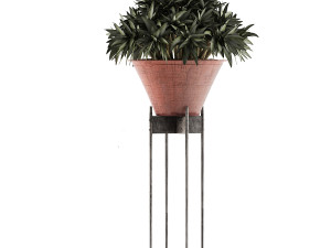 plants collection 49 3D Model