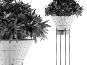 plants collection 49 3D Model