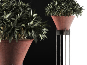 plants collection 49 3D Model