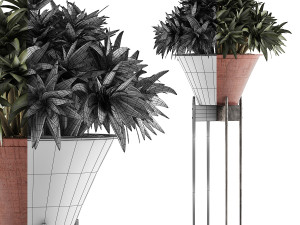 plants collection 49 3D Model