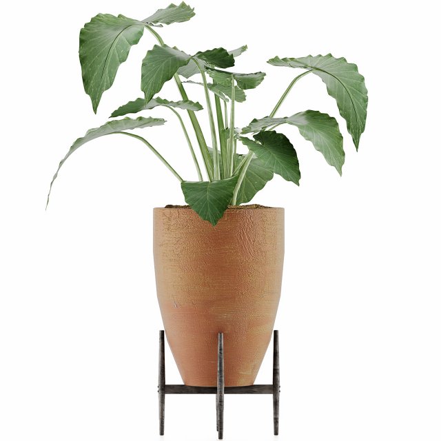plants collection 50 Modelo 3D .c4d .max .obj .3ds .fbx .stl .blend 