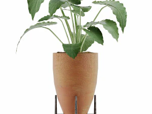 коллекция растений 50 3D Модель