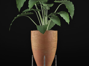 plants collection 50 Modelo 3D