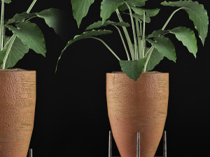 plants collection 50 Modelo 3D