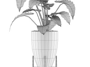 plants collection 50 Modelo 3D